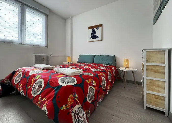Apartman Chez Velia Grand 4 Pieces, Parking Prive Et Emplacement Ideal Strasbourg