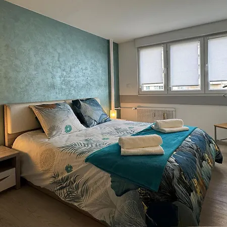 Chez Velia Grand 4 Pieces, Parking Prive Et Emplacement Ideal * 스트라스부르